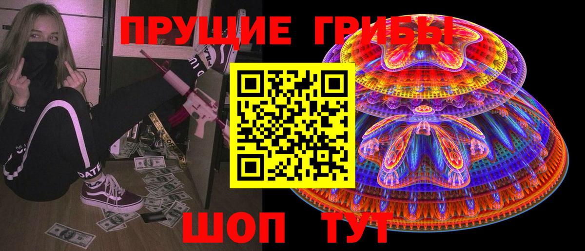 Псилоцибиновые грибы Psilocybe Новотроицк
