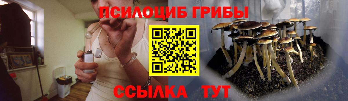 Псилоцибиновые грибы ЛСД  Вход с VPN  Новотроицк 